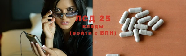 стаф Горняк
