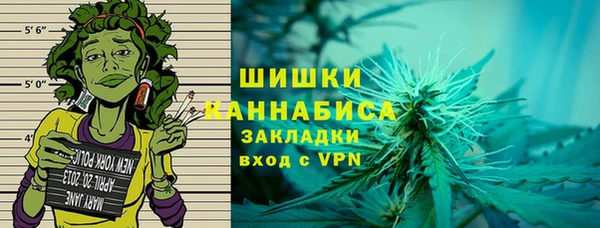стаф Горняк