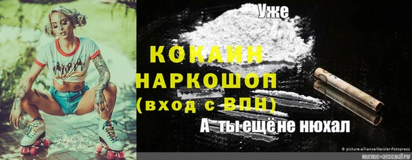 соль курить ск Горно-Алтайск