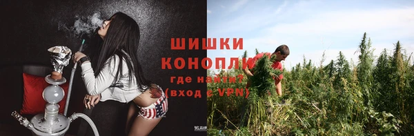 индика Тобольск