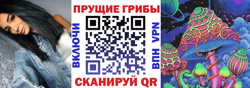 где продают наркотики  kraken маркетплейс  Галлюциногенные грибы прущие грибы  Калининград 